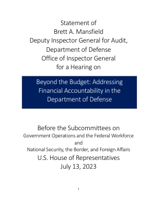 审计副监察长 Brett A. Mansfield 的声明，